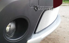 Защита радиатора «Стандарт» на Renault Sandero Stepway, 2009-2014, 1 поколение